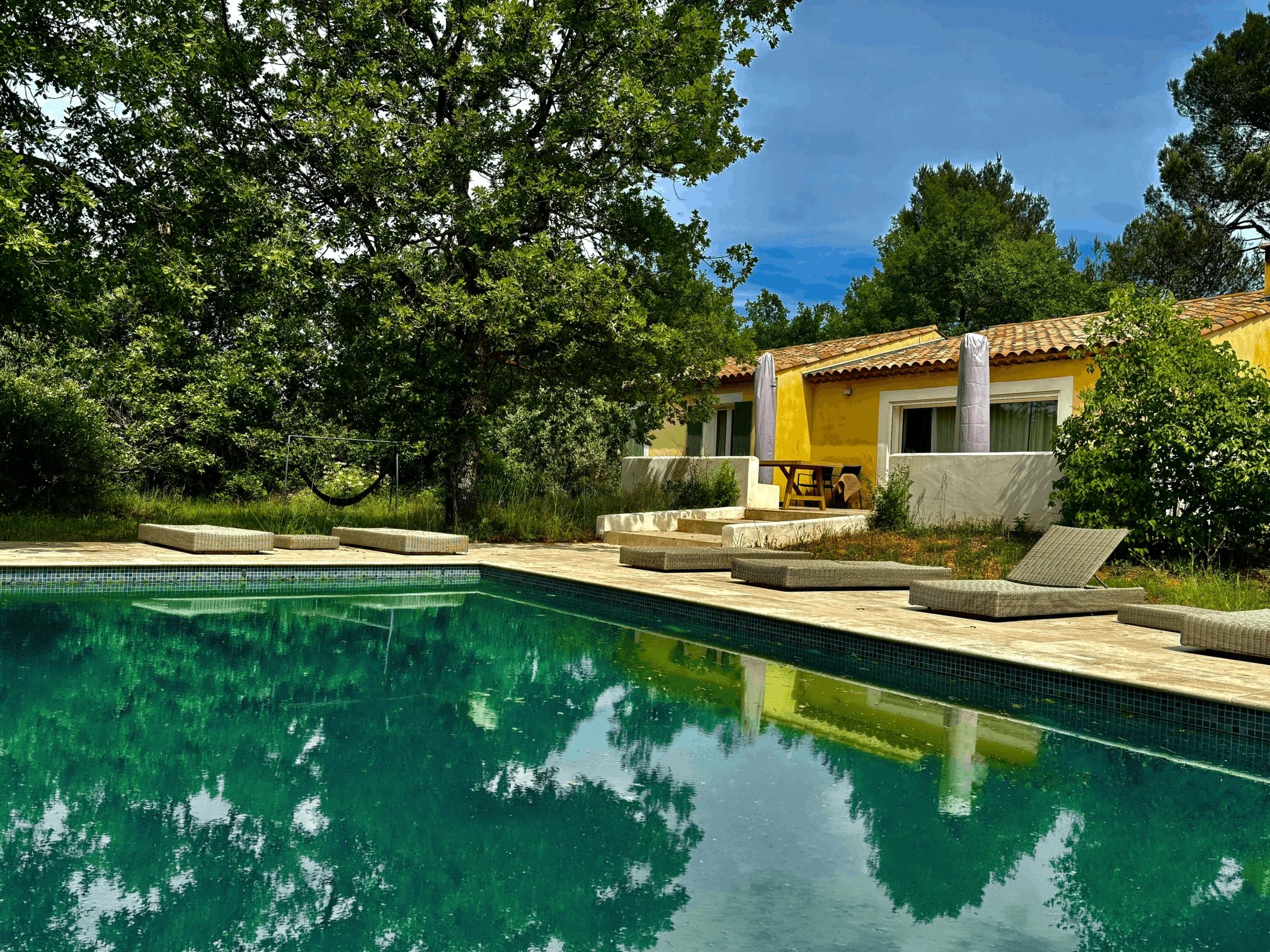 Piscine et oliviers sous le soleil de la Villa à Saint-Maximin la Sainte Baume dans la Provence Verte